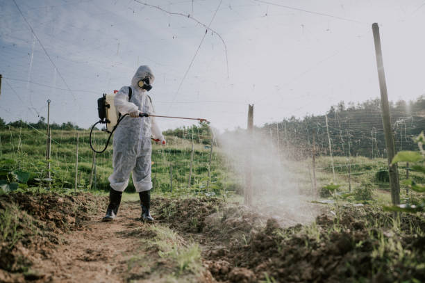 Best Affordable Exterminators  in Galesville, MD