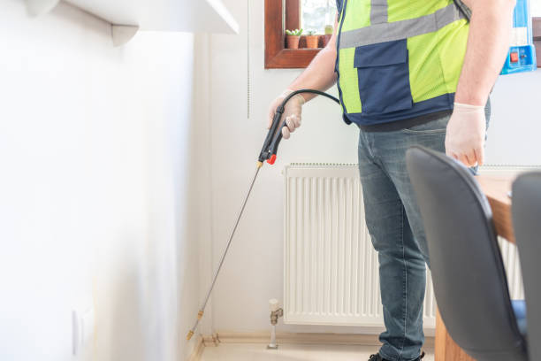 Wasp Removal Services in Galesville, MD