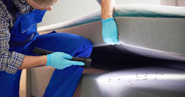 Best Cockroach Control Services  in Galesville, MD